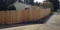 fence_cravinho_002.JPG