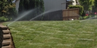 sprinklers_cravinho_landscaping_014.JPG